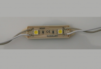 LED box module | 2 LEDs | Cool White (5700K +/- 275K)