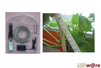 LEDstripset | LEDstrip 5M 600 LEDs | Enkel Wit en Warm Wit